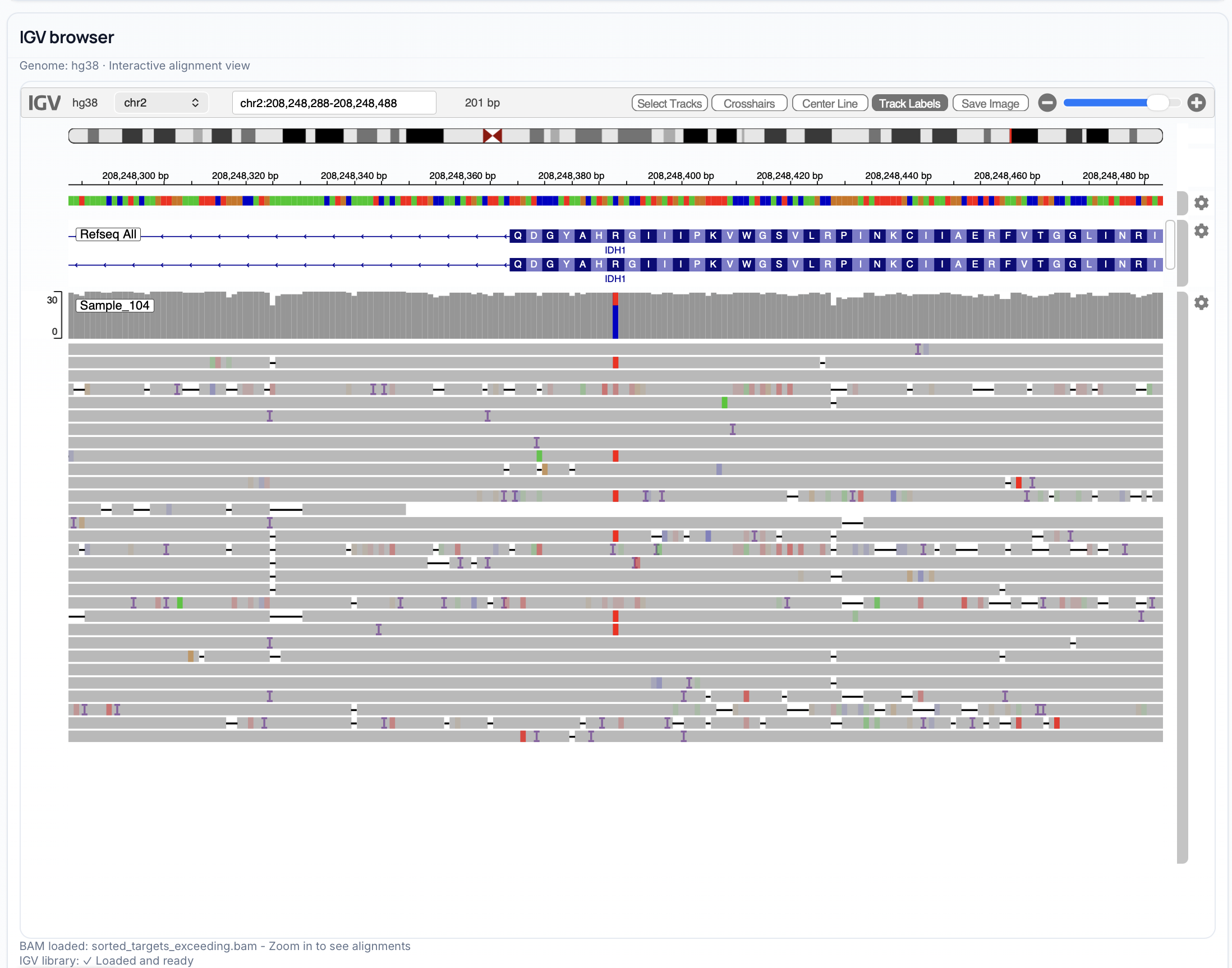 IGV browser: hg38 tracks and alignments at a locus opened from the SNP table (View in IGV)