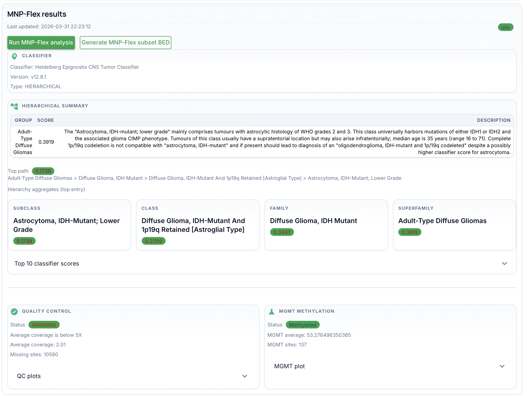 MNP-Flex results: toolbar, classifier line, hierarchical summary, QC, and MGMT